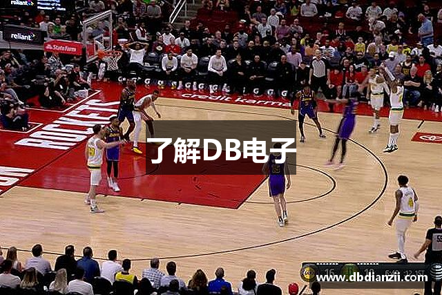 了解DB电子